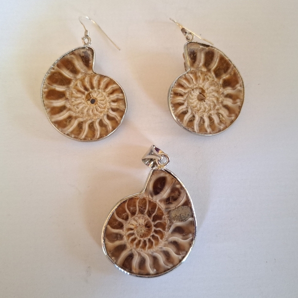 Unique Ammonite Fossil Earrings & Pendant Set 925 Sterling Silver "Stargazer" - Picture 9 of 13